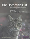 The Domestic Cat